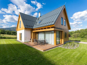 Villa in Cerny Dul with sauna, Černý Důl